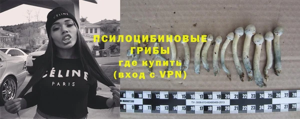 spice Вязники