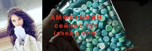 прущая мука Вяземский