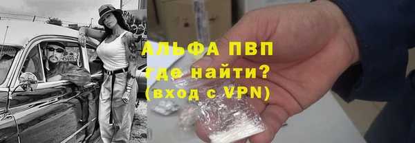 прущая мука Вяземский