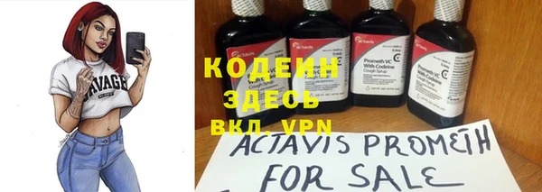прущая мука Вяземский
