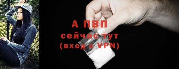 прущая мука Вяземский