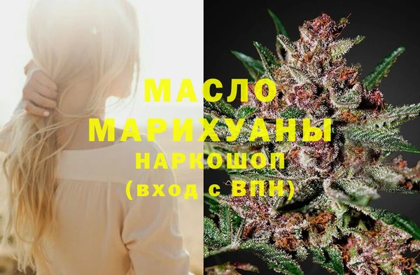 прущая мука Вяземский