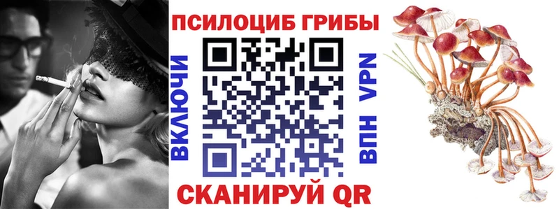 Псилоцибиновые грибы Cubensis Купить закладки Нарьян-Мар
